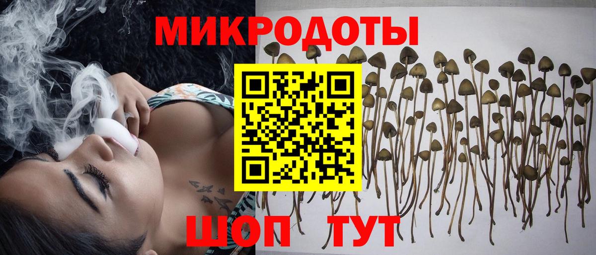 Псилоцибиновые грибы Psilocybe  Псилоцибиновые грибы ЛСД  Вход с VPN  Лабытнанги 